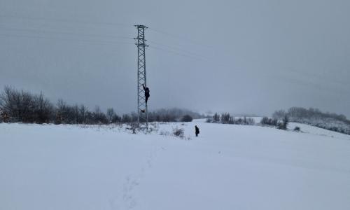 Екипите на ЕРП Север продължават работата по отстраняване на възникналите аварии по мрежата в Североизточна България